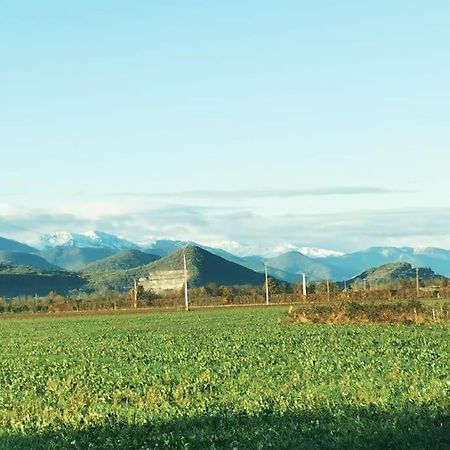 Appartamento T3 Au Pied Des Pyrenees Pointis-de-Riviere Esterno foto
